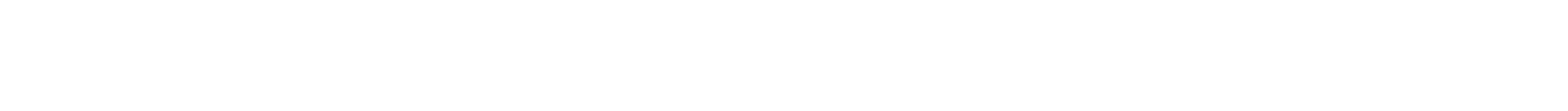 GW-Security_White_EN